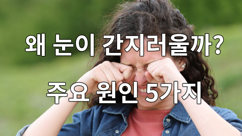 왜 눈에 간지러움 증상이 발생되는지 다양한 원인이 있지만, 눈 간지러움의 주요 원인 5가지를 살펴보도록 하겠습니다.