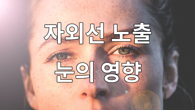 자외선(UV-A 및 UV-B)에 노출되는 눈의 영향