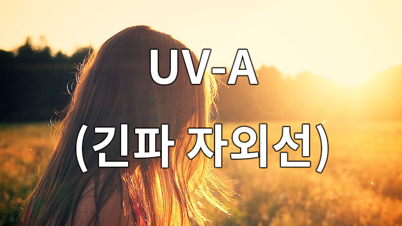 UV-A는 자외선 중에서도 긴 파장을 가지고 있어 더 깊은 곳까지 침투할 수 있습니다.