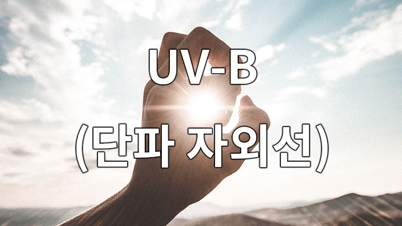 UV-B는 자외선 중에서도 상대적으로 짧은 파장을 가지고 있으며, 피부 표피에 집중적으로 영향을 미치는 특징