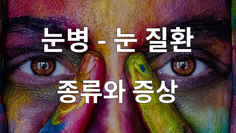 눈병, 눈 질환의 종류와 증상