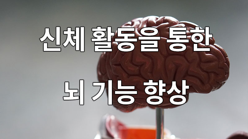 신체 활동을 통한 뇌 기능 향상