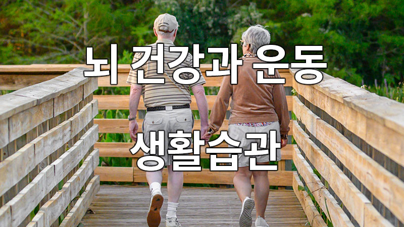 뇌 건강과 운동, 그리고 생활습관의 상관관계