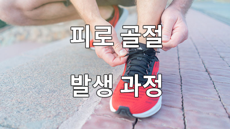 피로 골절의 발생 과정