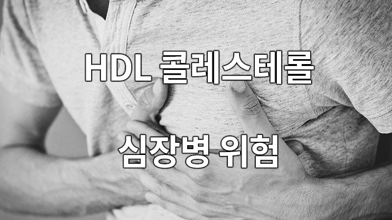 HDL 콜레스테롤과 심장병 위험