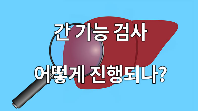 간 기능 검사는 어떻게 진행되나