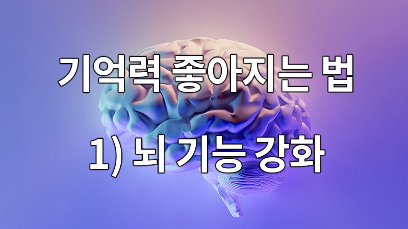 기억력 좋아지는 법, 뇌 기능을 강화하는 방법은?