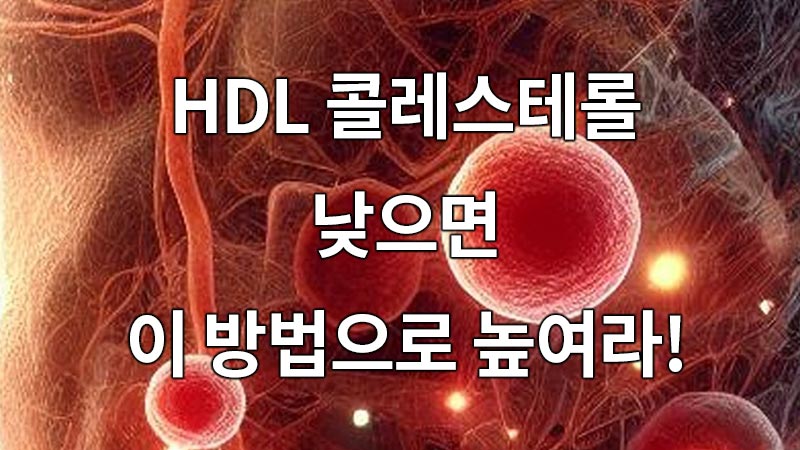 HDL 콜레스테롤 낮으면 이 방법으로 높여라!