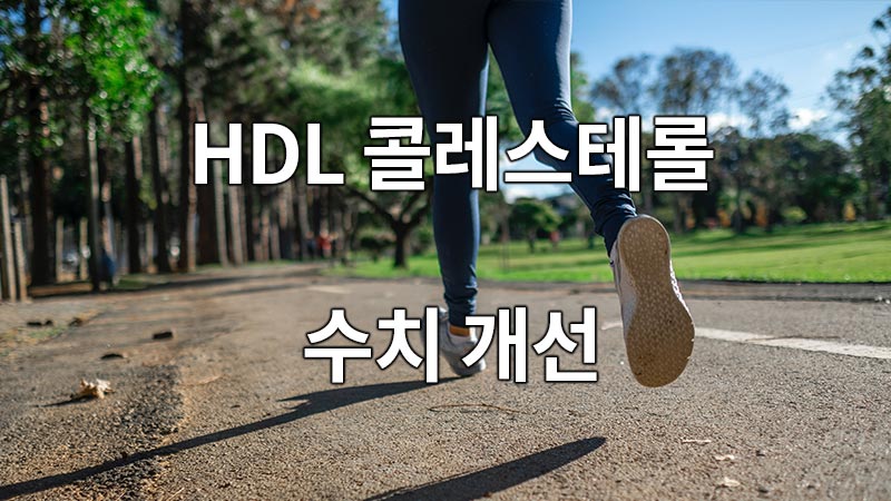 HDL 콜레스테롤 수치 개선을 위한 방법