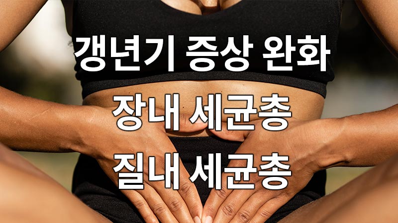 갱년기 증상 완화, 장내 세균총, 질내 세균총