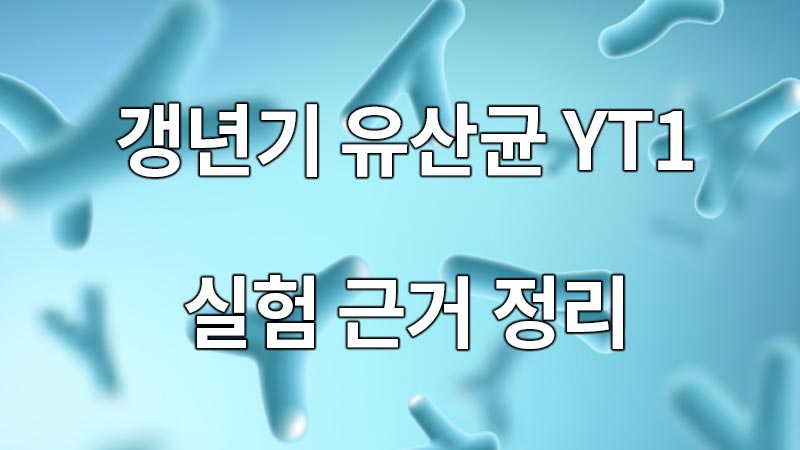 갱년기 유산균 YT1, 효과 실험 근거 확인해 보세요!