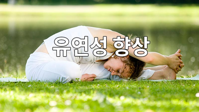 유연성 향상