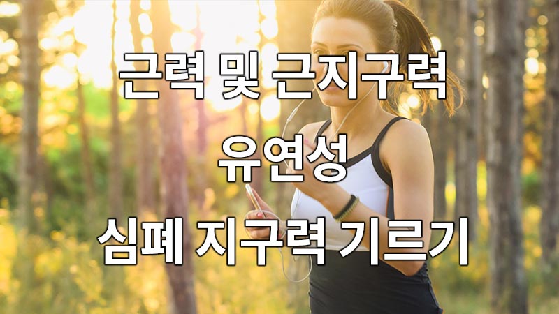 근력 및 근지구력, 유연성, 심폐 지구력 기르기