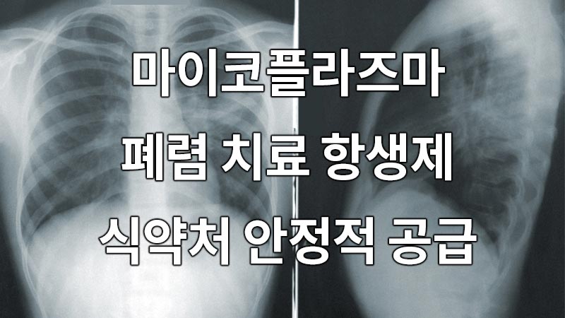 마이코플라즈마 폐렴 치료 항생제 식약처 안정적 공급