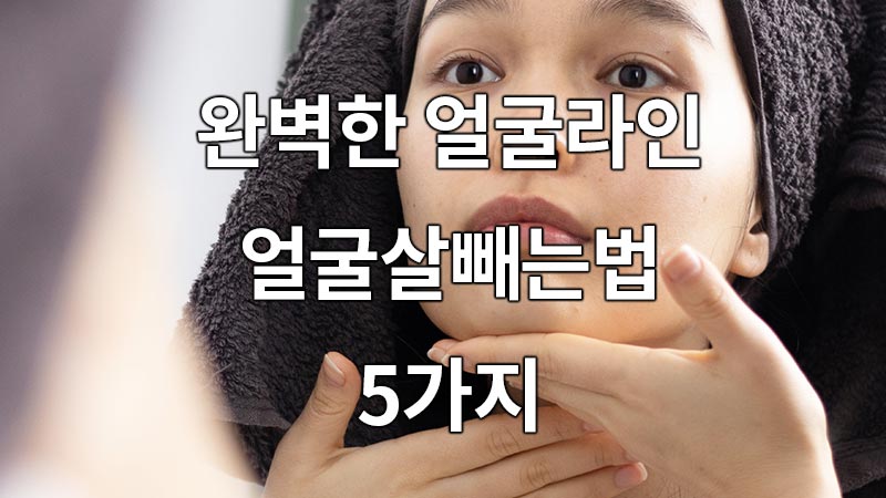 완벽한 얼굴라인, 얼굴살빼는법 5가지