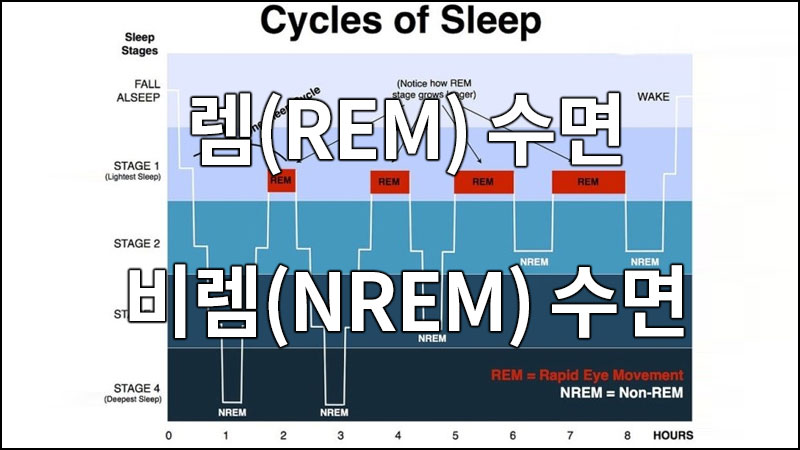 렘(REM) 수면과 비렘(NREM) 수면에 대한 이해