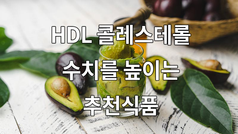 HDL 콜레스테롤 낮으면, 수치를 높이는 추천식품