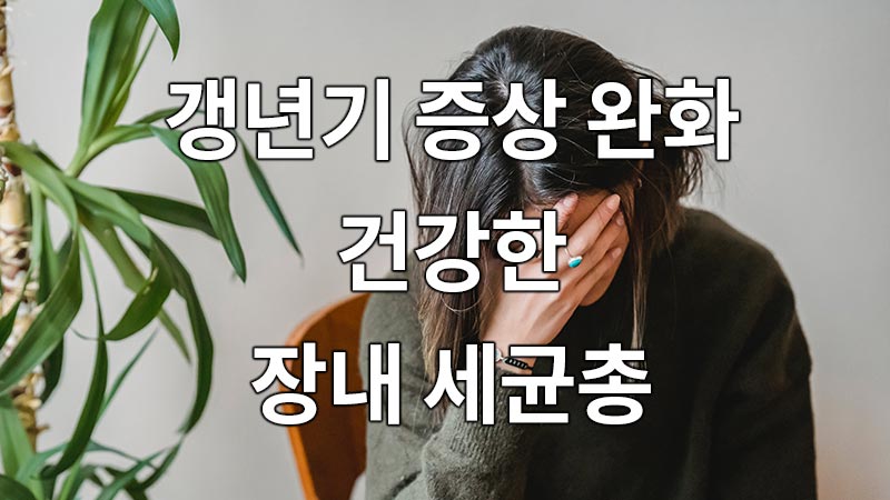 갱년기 증상 완화, 건강한 장내 세균총의 역할