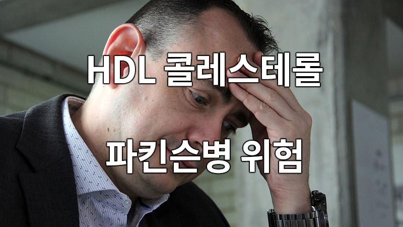 HDL 콜레스테롤과 파킨슨병 위험