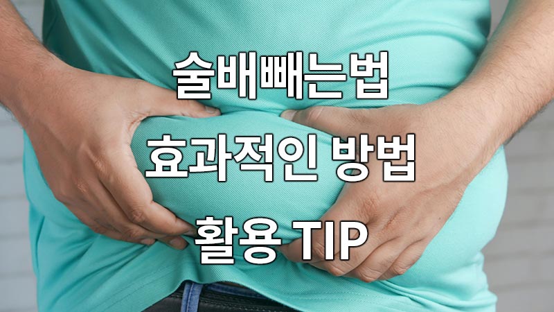 술배빼는법, 효과적인 방법과 활용 TIP