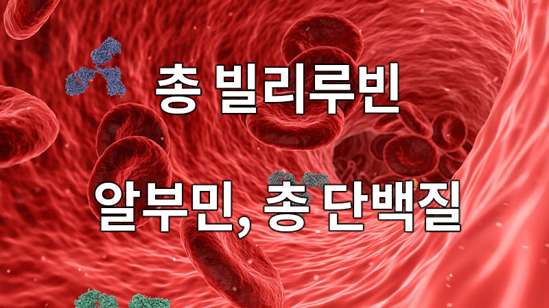 간 기능 지표 총 빌리루빈, 알부민, 총 단백질