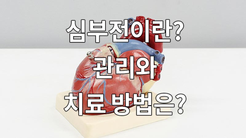 심부전이란 무엇이며 관리와 치료 방법은?