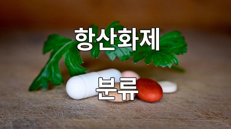 항산화제의 분류