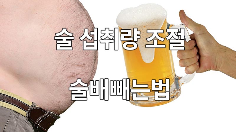 술 섭취량 조절로 술배빼는법