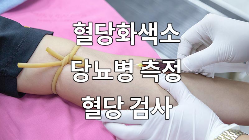 혈당화색소-당화혈색소, 당뇨병 측정 혈당 검사