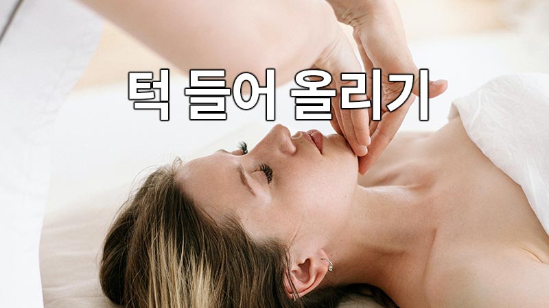 턱 들어 올리기 : 턱 올리기 운동은 턱을 포함한 얼굴의 하단 라인을 세련되게 만드는 데 도움이 됩니다. 