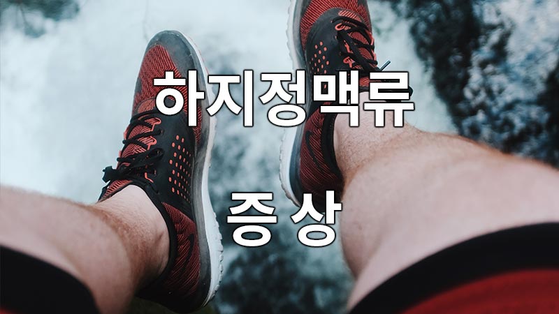 하지정맥류의 증상