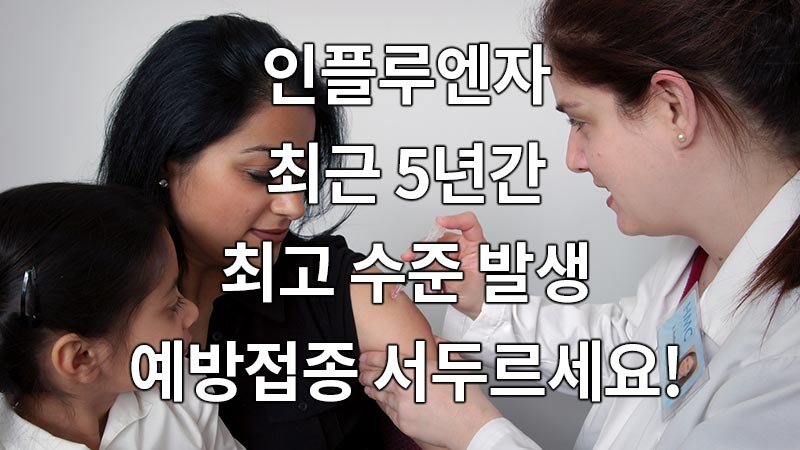 인플루엔자 5년간 최고 수준, 예방접종 서둘러야