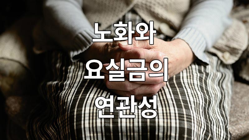 노화와 요실금의 연관성