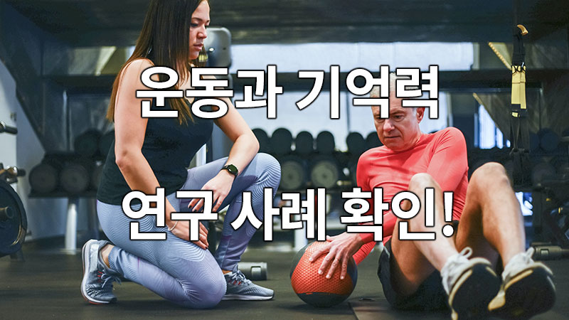 운동과 기억력 연구 사례 확인