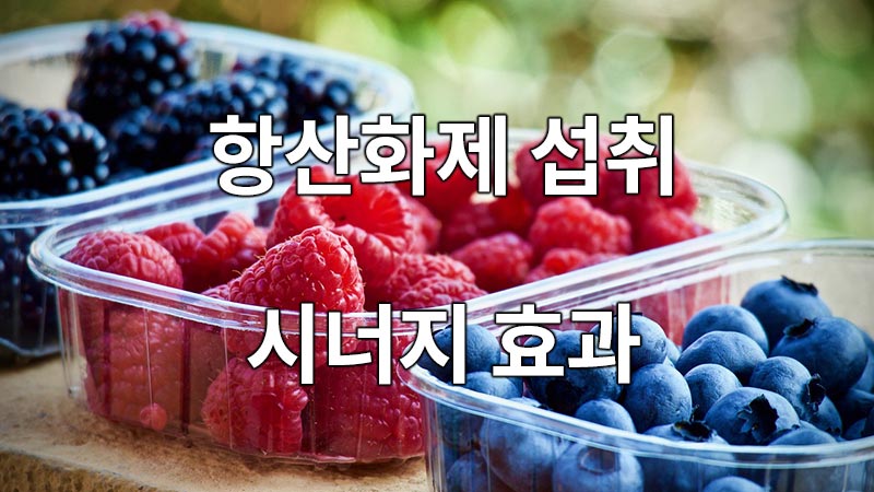 항산화제 섭취와 시너지 효과