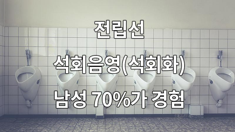 전립선 석회음영(석회화) 남성 70%가 경험