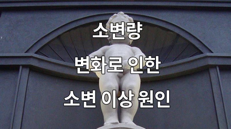 소변량 변화로 인한 소변 이상 원인
