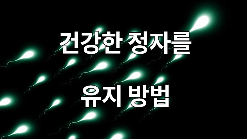 건강한 정자를 유지 방법