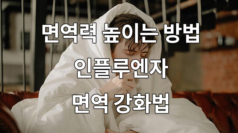 면역력 높이는 방법과 인플루엔자 면역 강화법