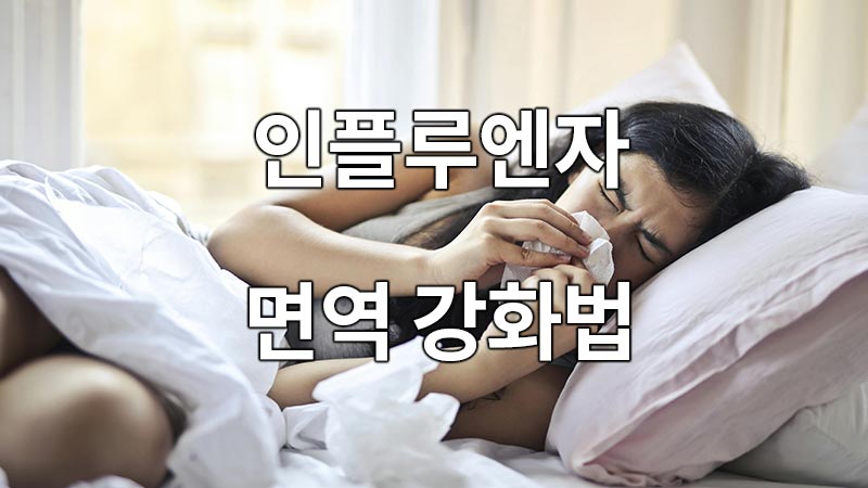 인플루엔자 면역 강화법