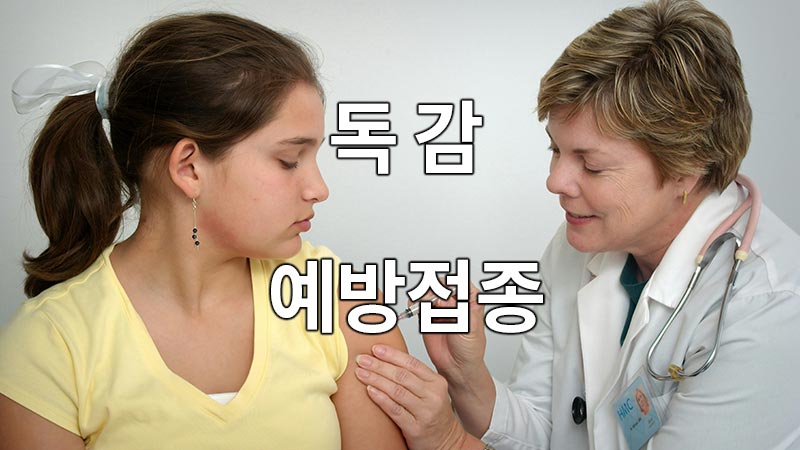 flu vaccination
독감 예방접종