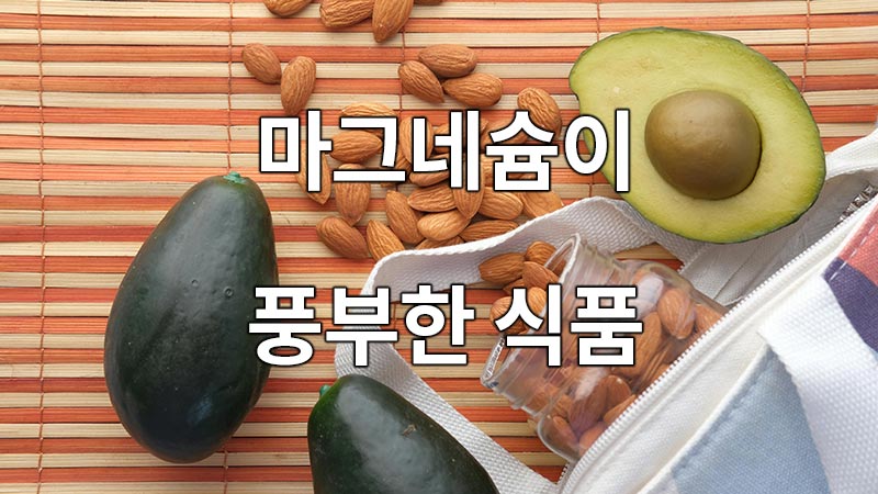 마그네슘이 풍부한 식품