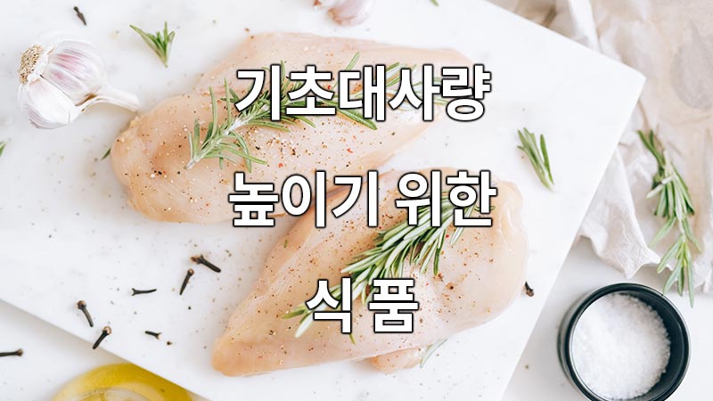 기초대사량 높이기 위한 식품
Food to increase basal metabolism
