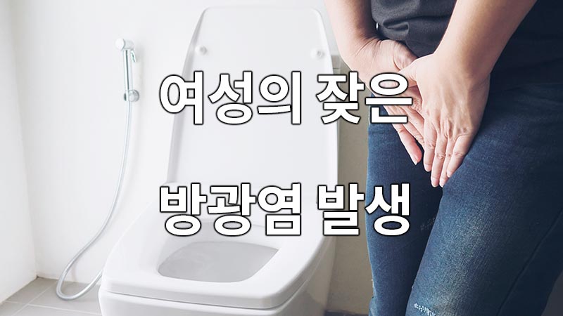 여성의 잦은 방광염 발생
Frequent occurrence of cystitis in women
