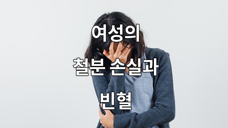 여성의 철분 손실과 빈혈
Iron loss and anemia in women
