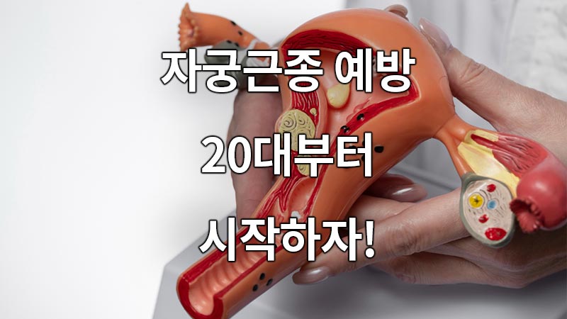 자궁근종 예방, 20대부터 시작하는 것이 좋다.
It is recommended to prevent uterine fibroids, starting in your 20s.