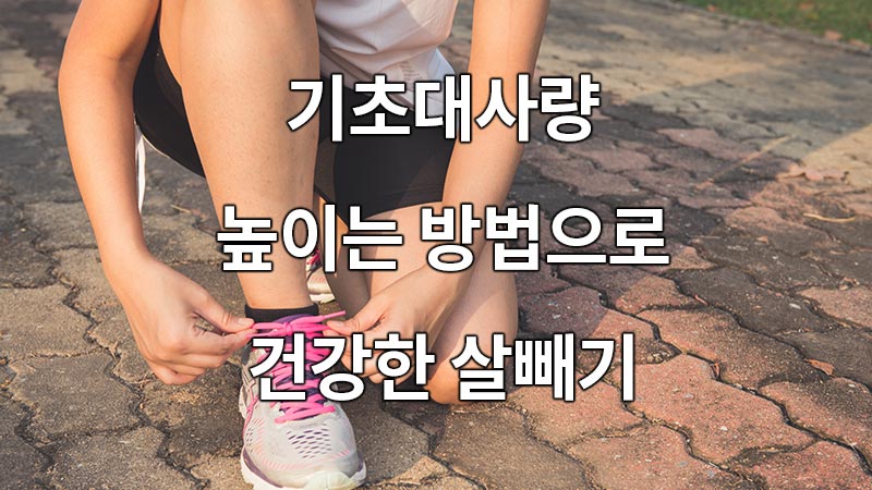 기초대사량 높이는 방법으로 건강한 살빼기
To lose healthy weight as a way to increase your basal metabolism