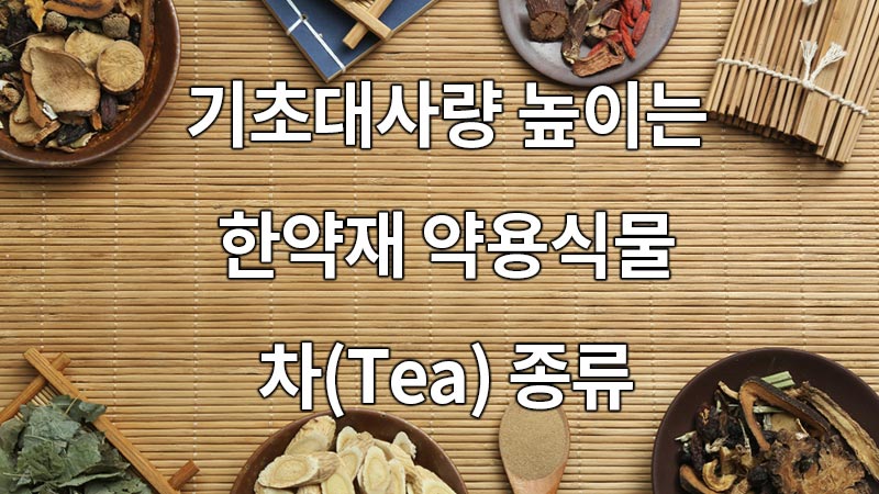 기초대사량을 높이는 한약재, 약용식물, 차(Tea) 종류
Types of herbal medicines, medicinal plants, and tea that increase basic metabolism
