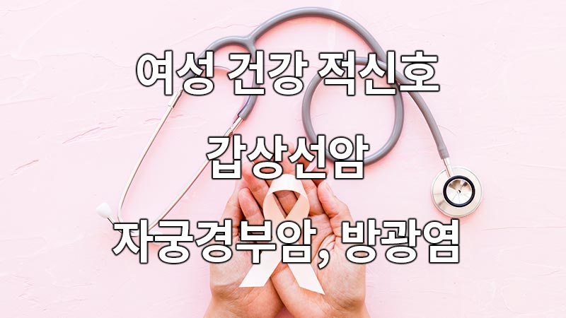 여성 건강 적신호! 갑상선암, 자궁경부암, 방광염
Women's Health Signs! Thyroid cancer, cervical cancer, cystitis
