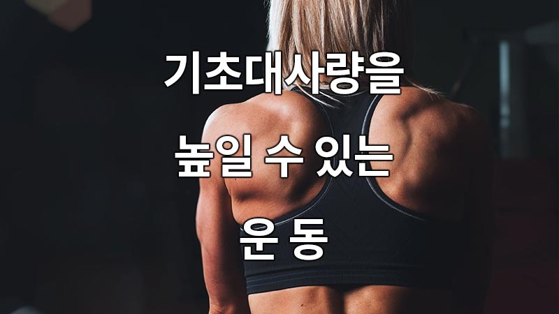 기초대사량을 높일 수 있는 운동
exercise that can increase basic metabolism
